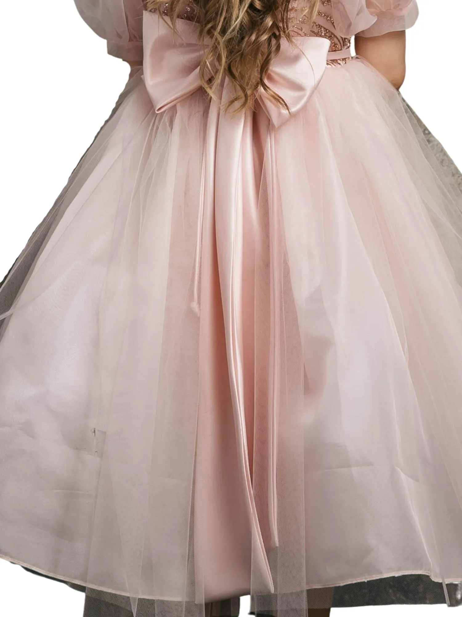 Girls Blush Bubble Sleeve Sequin Bodice Organza Dress, Sizes 2-12